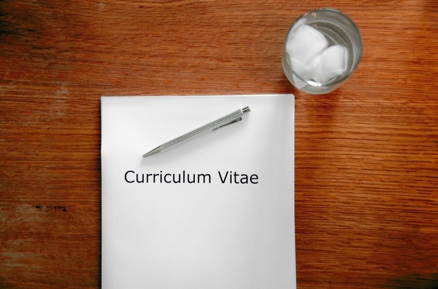 Realizar por primera vez un curriculum vitae