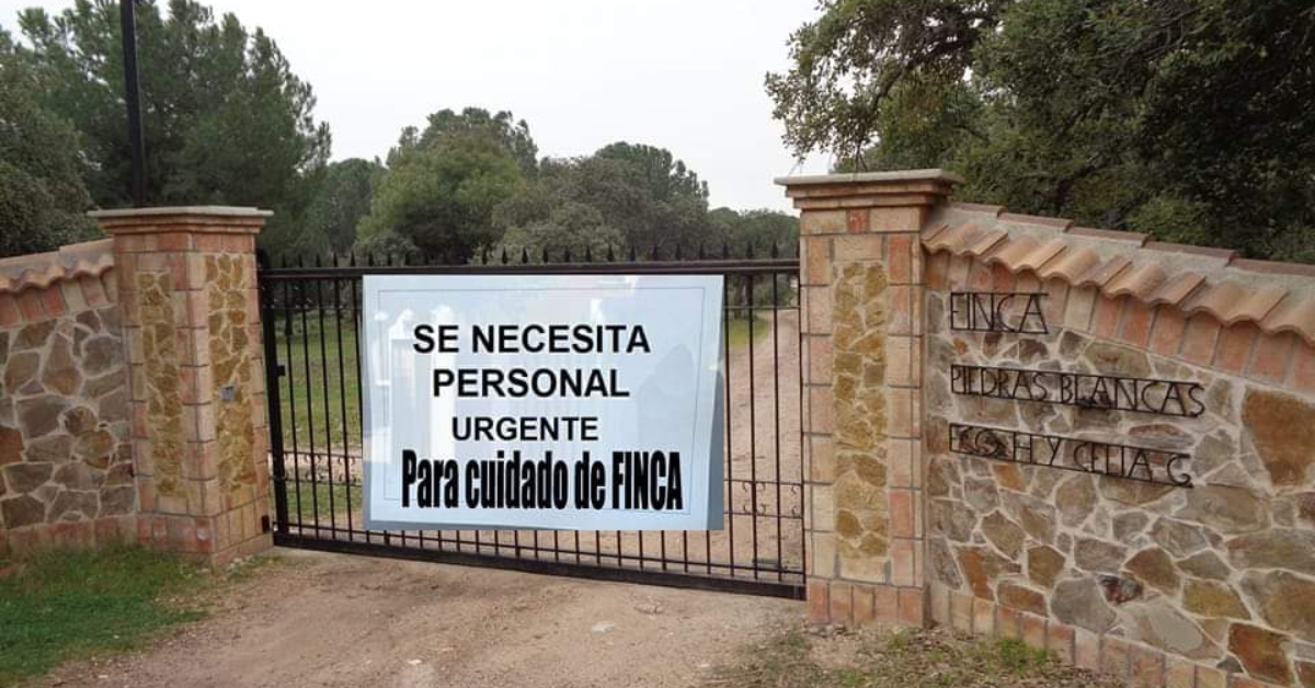 En las últimas horas, se hizo de público conocimiento que Se busca pareja para cuidar finca confortable ¡Aquí te explicamos como postularte!